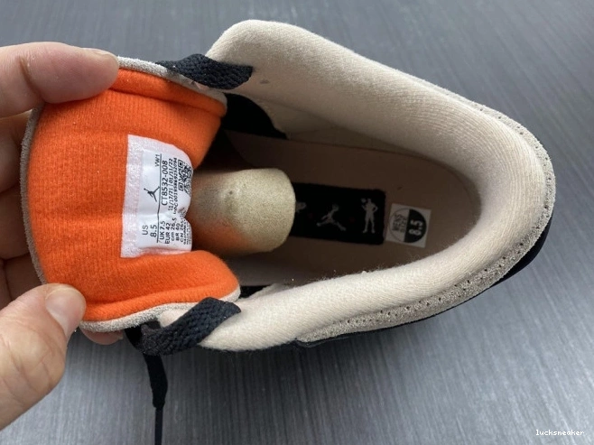 Reps LUCY Air CT8532-008 Jordan Elephant Desert 3 0715